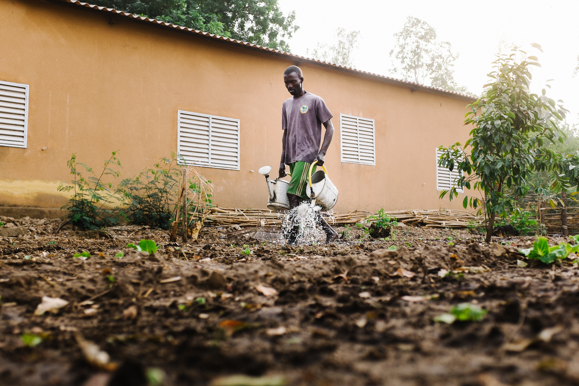 Senegal Bewässerung